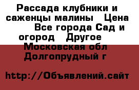 Рассада клубники и саженцы малины › Цена ­ 10 - Все города Сад и огород » Другое   . Московская обл.,Долгопрудный г.